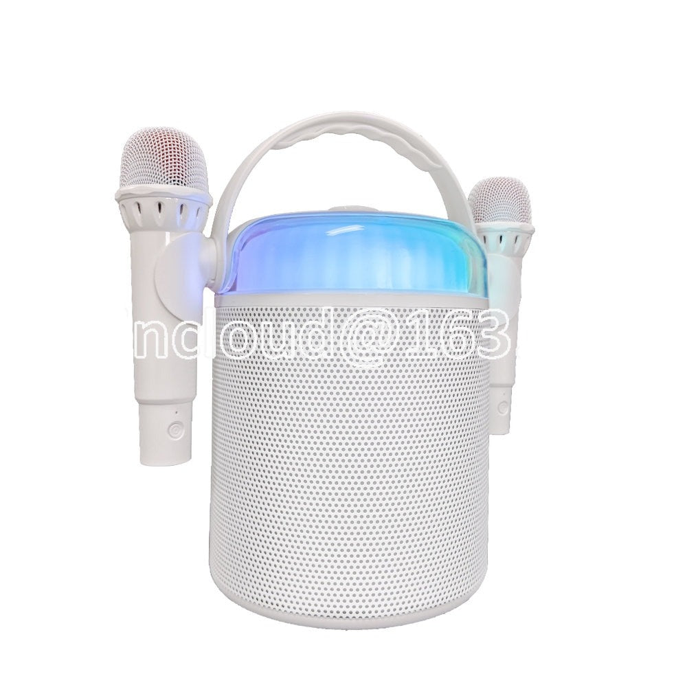 Radio Blue Tooth Speaker