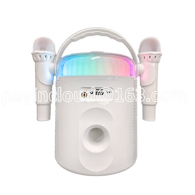 Radio Blue Tooth Speaker