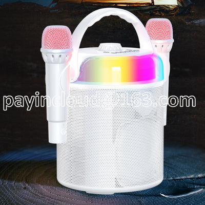 Radio Blue Tooth Speaker